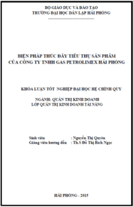bien phap thuc day tieu thu san pham cua cong ty tnhh gas petrolimex hai phong