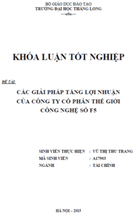 cac giai phap tang loi nhuan cua cong ty co phan the gioi cong nghe so f5