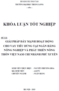Giải pháp đẩy mạnh hoạt động cho vay tiêu dùng tại Ngân hàng Nông nghiệp và Phát triển Nông thôn Việt Nam Chi nhánh Phú Xuyên 18 giai phap day manh hoat dong cho vay tieu dung tai ngan hang nong nghiep va phat trien nong thon viet nam chi nhanh phu xuyen