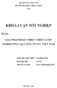 giai phap hoan thien chien luoc marketing tai cong ty svc viet nam