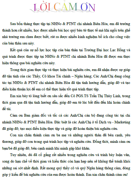 giai phap marketing phat trien cac san pham dich vu ngan hang hien dai tai ngan hang nong nghiep va phat trien nong thon chi nhanh bien hoa 1