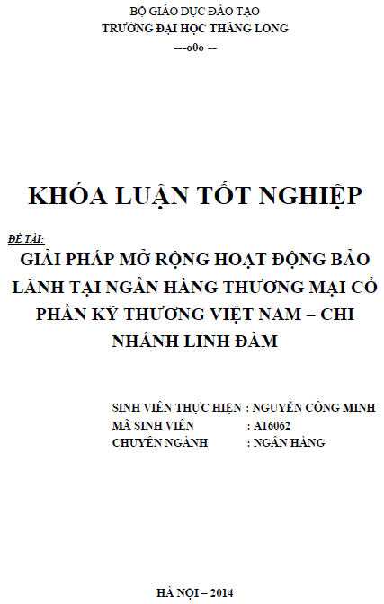 giai phap mo rong hoat dong bao lanh tai ngan hang thuong mai co phan ky thuong viet nam chi nhanh linh dam