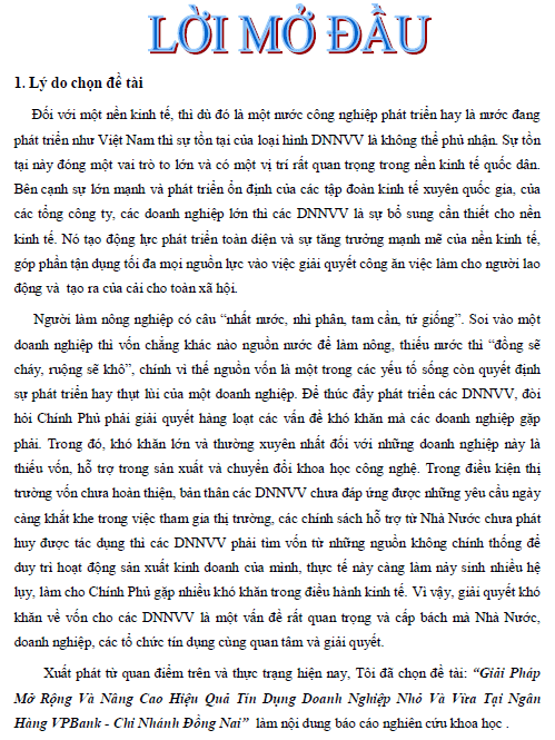 giai phap mo rong va nang cao hieu qua tin dung doanh nghiep nho va vua tai ngan hang vpbank chi nhanh dong nai 1