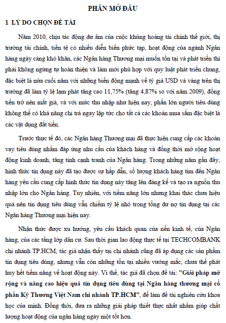 giai phap mo rong va nang cao hieu qua tin dung tieu dung tai ngan hang thuong mai co phan ky thuong viet nam chi nhanh thanh pho ho chi minh 2