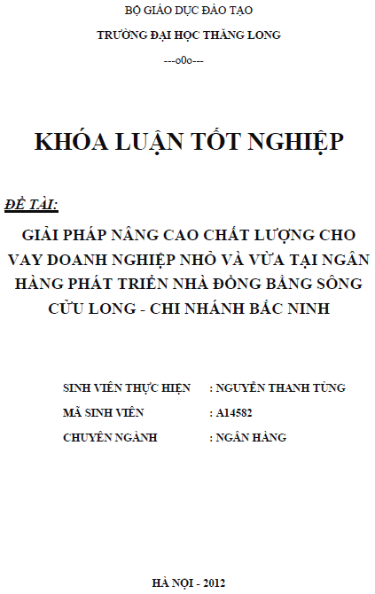 giai phap nang cao chat luong cho vay doanh nghiep nho va vua tai ngan hang phat trien nha dong bang song cuu long chi nhanh bac ninh