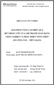 giai phap nang cao hieu qua huy dong von tai chi nhanh ngan hang nong nghiep va phat trien nong thon go cong tay tien giang 1