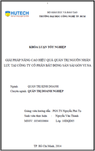 giai phap nang cao hieu qua quan tri nguon nhan luc tai cong ty co phan bat dong san sai gon vi na