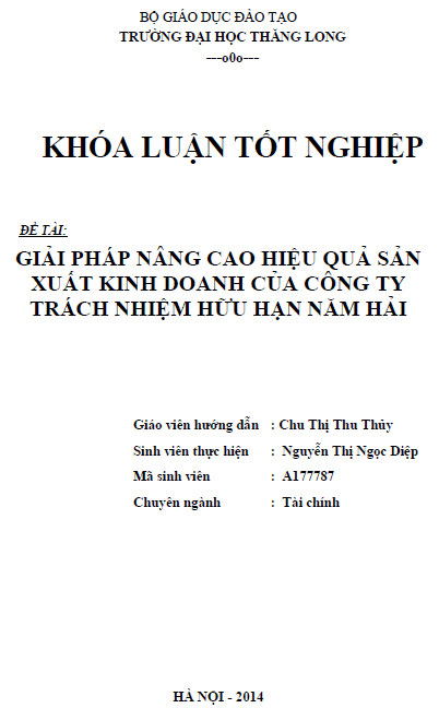 giai phap nang cao hieu qua san xuat kinh doanh cua cong ty trach nhiem huu han nam hai