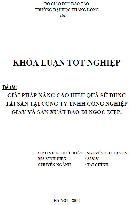 giai phap nang cao hieu qua su dung tai san tai cong ty tnhh cong nghiep giay va san xuat bao bi ngoc diep