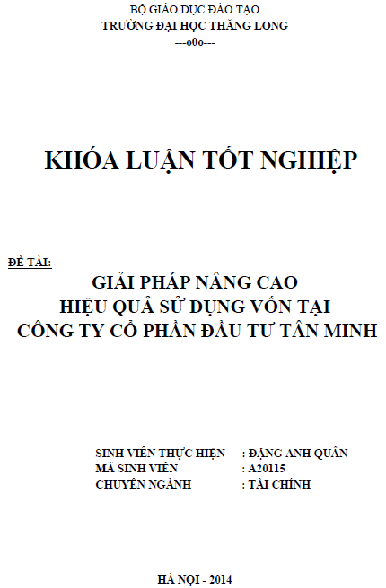 giai phap nang cao hieu qua su dung von tai cong ty co phan dau tu tan minh