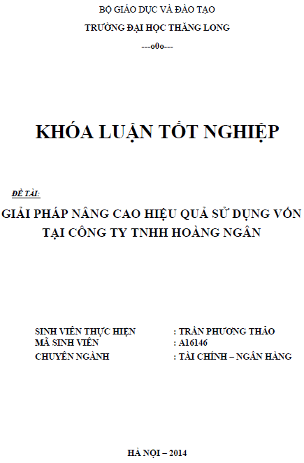 giai phap nang cao hieu qua su dung von tai cong ty tnhh hoang ngan