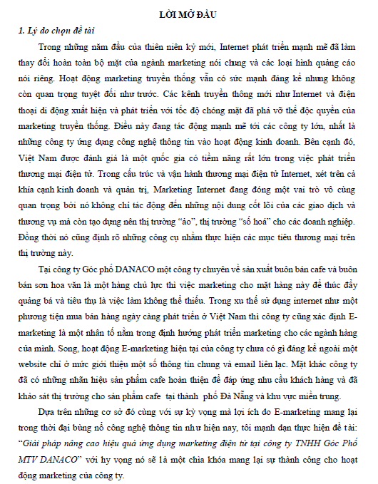 giai phap nang cao hieu qua ung dung marketing dien tu tai cong ty tnhh goc pho mtv danaco