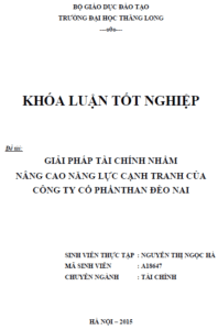 giai phap tai chinh nham nang cao nang luc canh tranh cua cong ty co phan than deo nai