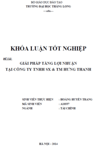 giai phap tang loi nhuan tai cong ty tnhh san xuat va thuong mai hung thanh