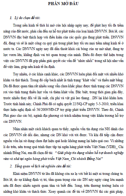 giai phap tin dung nham ho tro doanh nghiep vua va nho tai ngan hang phat trien viet nam chi nhanh dong nai