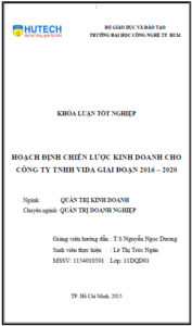 hoach dinh chien luoc kinh doanh cho cong ty tnhh vida giai doan 2016 2020