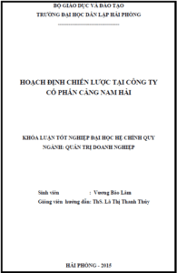 hoach dinh chien luoc tai cong ty co phan cang nam hai