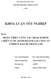 hoan thien cong tac hoach dinh chien luoc kinh doanh tai cong ty tnhh in bao bi thang loi
