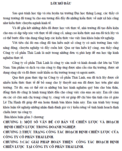 hoan thien cong tac hoach dinh chien luoc tai cong ty co phan thai linh