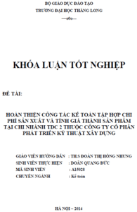 hoan thien cong tac ke toan tap hop chi phi san xuat va tinh gia thanh san pham tai chi nhanh tdc 2 thuoc cong ty co phan phat trien ky thuat xay dung