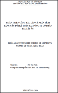 hoan thien cong tac lap va phan tich bang can doi ke toan tai cong ty co phan bia tay au 1 1