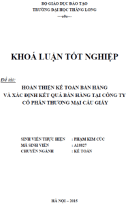 Hoàn thiện kế toán bán hàng và xác định kết quả bán hàng tại Công ty Cổ phần Thương mại Cầu Giấy 14 hoan thien ke toan ban hang va xac dinh ket qua ban hang tai cong ty co phan thuong mai cau giay