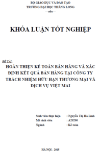 Hoàn thiện kế toán bán hàng và xác định kết quả bán hàng tại Công ty TNHH Thương mại và Dịch vụ Việt Mai 5 hoan thien ke toan ban hang va xac dinh ket qua ban hang tai cong ty tnhh thuong mai va dich vu viet mai
