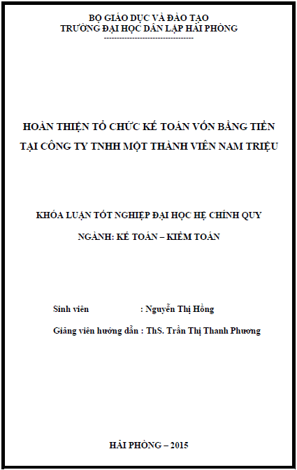 hoan thien to chuc ke toan von bang tien tai cong ty tnhh mot thanh vien nam trieu