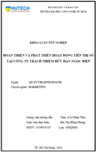 hoan thien va phat trien hoat dong tiep thi so tai cong ty trach nhiem huu han trach nhiem huu han ngoc diep