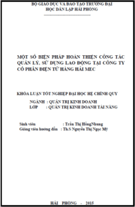 mot so bien phap hoan thien cong tac quan ly su dung lao dong tai cong ty co phan dien tu hang hai mec