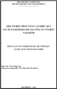 mot so bien phap nang cao hieu qua san xuat kinh doanh tai cong ty co phan nam kinh