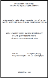 mot so bien phap nang cao hieu qua su dung nguon nhan luc tai cong ty tnhh long trong