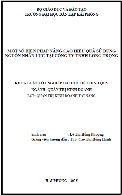 mot so bien phap nang cao hieu qua su dung nguon nhan luc tai cong ty tnhh long trong