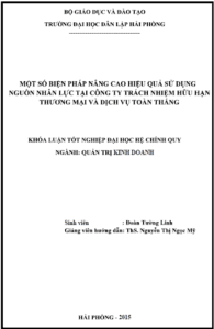 mot so bien phap nang cao hieu qua su dung nguon nhan luc tai cong ty trach nhiem huu han thuong mai va dich vu toan thang