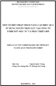 mot so bien phap nham nang cao hieu qua su dung nguon nhan luc tai cong ty tnhh mtv dau tu va phat trien hpi