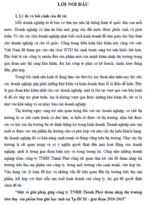 mot so giai phap giup cong ty tnhh thanh phat tham nhap thi truong tieu thu san pham ban ghe hoc sinh tai thanh pho ho chi minh giai doan 2010 2015