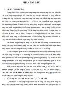 mot so giai phap hoan thien quan tri rui ro tin dung tai ngan hang dai a chi nhanh thanh pho ho chi minh den nam 2015