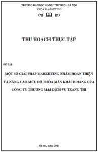 mot so giai phap marketing nham hoan thien va nang cao muc do thoa man khach hang cua cong ty thuong mai dich vu trang thi