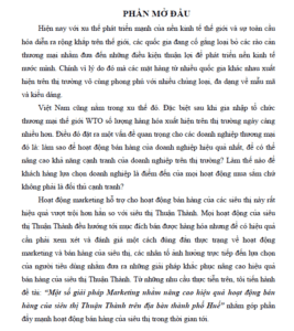 mot so giai phap marketing nham nang cao hieu qua hoat dong ban hang cua sieu thi thuan thanh tren dia ban thanh pho hue