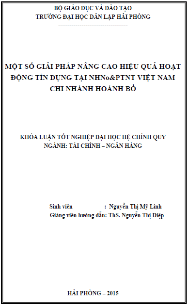 mot so giai phap nang cao hieu qua hoat dong tin dung tai ngan hang nong nghiep va phat trien nong thon chi nhanh huyen hoanh bo