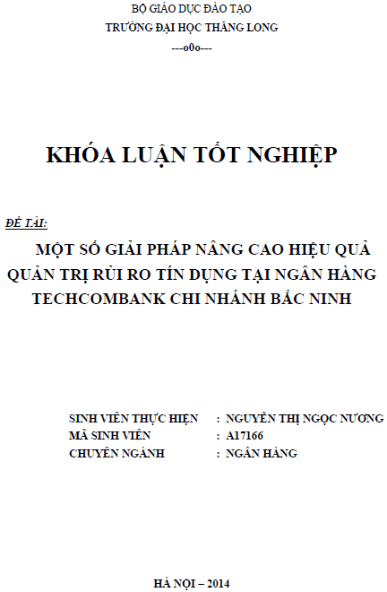 mot so giai phap nang cao hieu qua quan tri rui ro tin dung tai ngan hang techcombank chi nhanh bac ninh