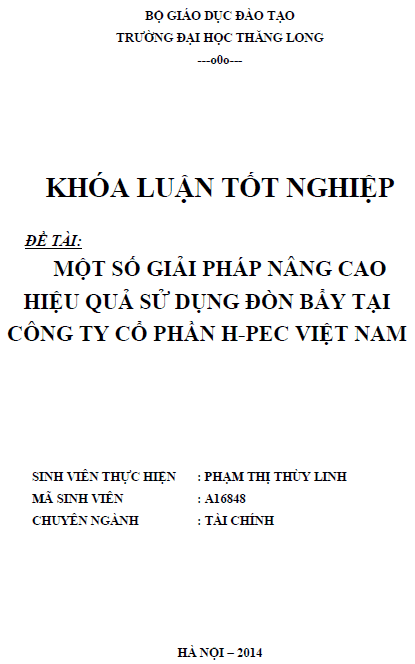 mot so giai phap nang cao hieu qua su dung don bay tai cong ty co phan h pec viet nam