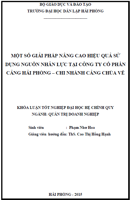 mot so giai phap nang cao hieu qua su dung nguon nhan luc tai cong ty co phan cang hai phong chi nhanh cang chua ve