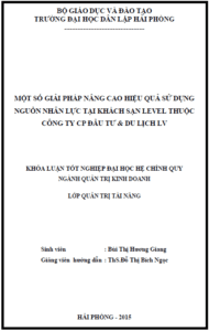 mot so giai phap nang cao hieu qua su dung nguon nhan luc tai khach san level thuoc cong ty co phan dau tu du lich lv