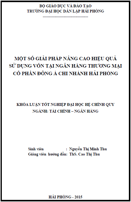 mot so giai phap nang cao hieu qua su dung von tai ngan hang thuong mai co phan dong a chi nhanh hai phong