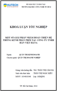 mot so giai phap nham hoan thien he thong kenh phan phoi tai cong ty tnhh han viet hana