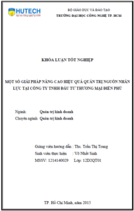 mot so giai phap nham nang cao hieu qua quan tri nguon nhan luc tai cong ty tnhh dau tu thuong mai dien phu
