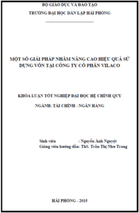 mot so giai phap nham nang cao hieu qua su dung von tai cong ty co phan vilaco