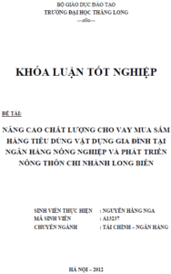 nang cao chat luong cho vay mua sam hang tieu dung vat dung gia dinh tai ngan hang nong nghiep va phat trien nong thon chi nhanh long bien