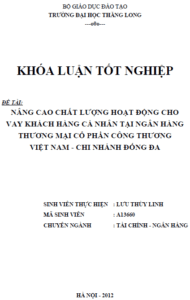 nang cao chat luong hoat dong cho vay khach hang ca nhan tai ngan hang thuong mai co phan cong thuong viet nam chi nhanh dong da